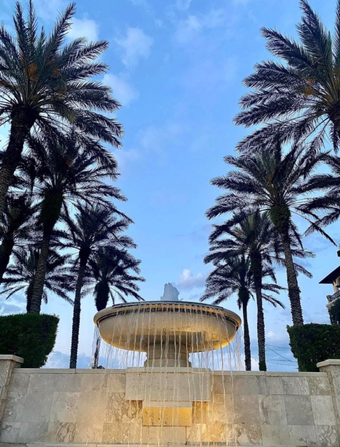 Palencia fountain and palm trees