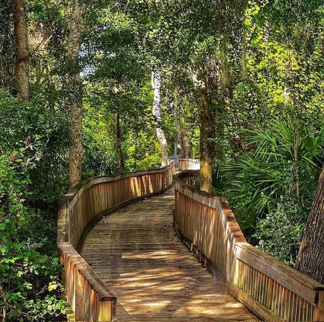Wooded Palencia boardwalk