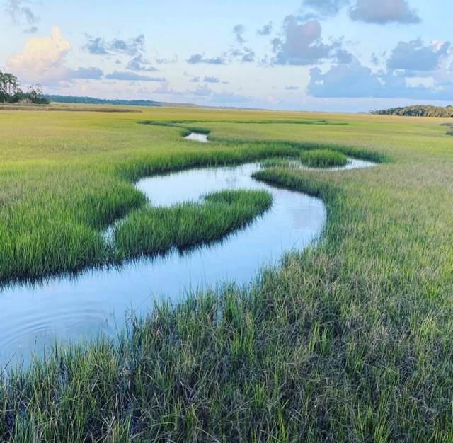 Palencia marsh landscape